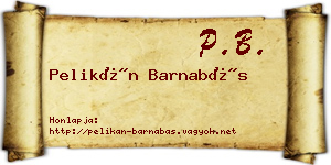 Pelikán Barnabás névjegykártya