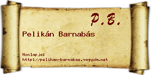 Pelikán Barnabás névjegykártya