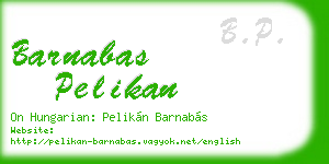 barnabas pelikan business card