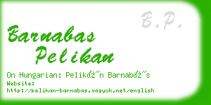 barnabas pelikan business card